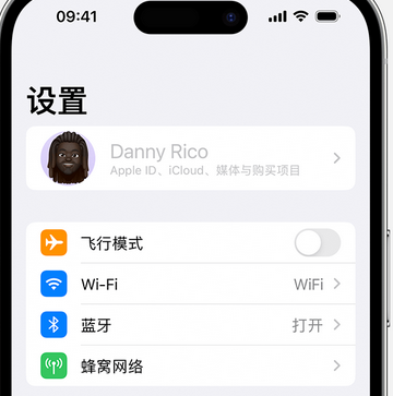 洮南appleID维修服务iPhone设置中Apple ID显示为灰色无法使用 