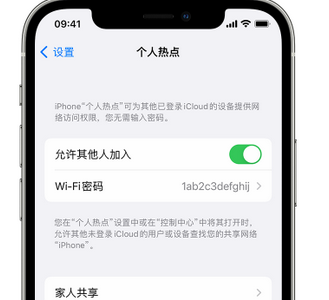 洮南apple服务站点分享iPhone上个人热点丢失了怎么办 