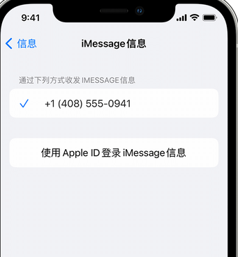 洮南apple维修iPhone上无法正常发送iMessage信息 