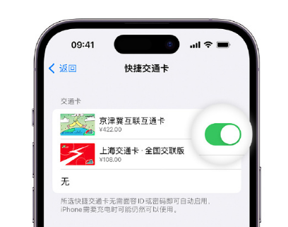 洮南apple维修点分享iPhone上更换Apple Pay快捷交通卡手绘卡面 