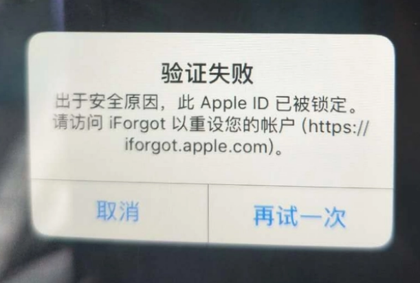 洮南iPhone维修分享iPhone上正常登录或使用AppleID怎么办 