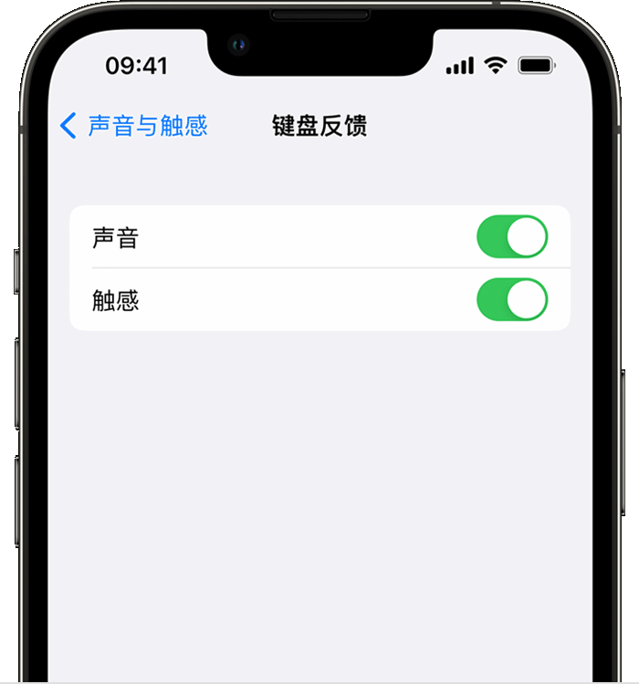 洮南苹果14维修店分享如何在 iPhone 14 机型中使用触感键盘 