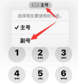 洮南苹果14维修店分享iPhone 14 Pro Max使用副卡打电话的方法 