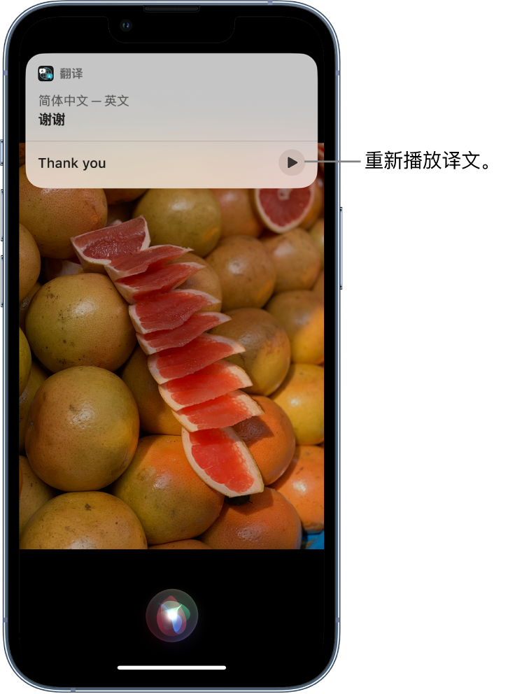 洮南苹果14维修分享 iPhone 14 机型中使用 Siri：了解 Siri 能帮你做什么 