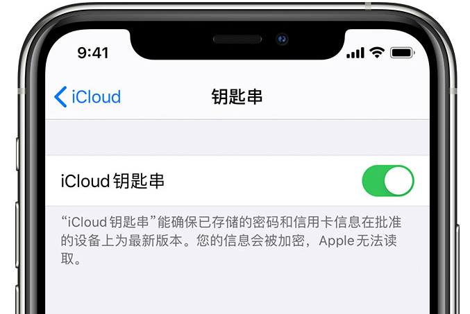 洮南苹果手机维修分享在 iPhone 上开启 iCloud 钥匙串之后会储存哪些信息 