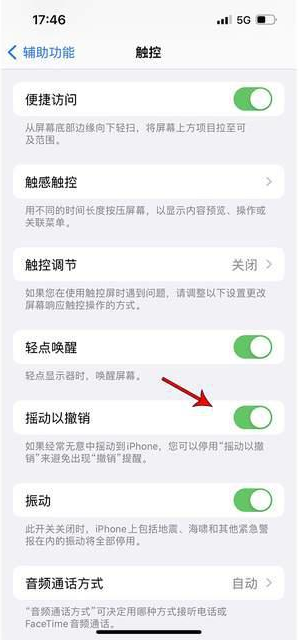 洮南苹果手机维修分享iPhone手机如何设置摇一摇删除文字 