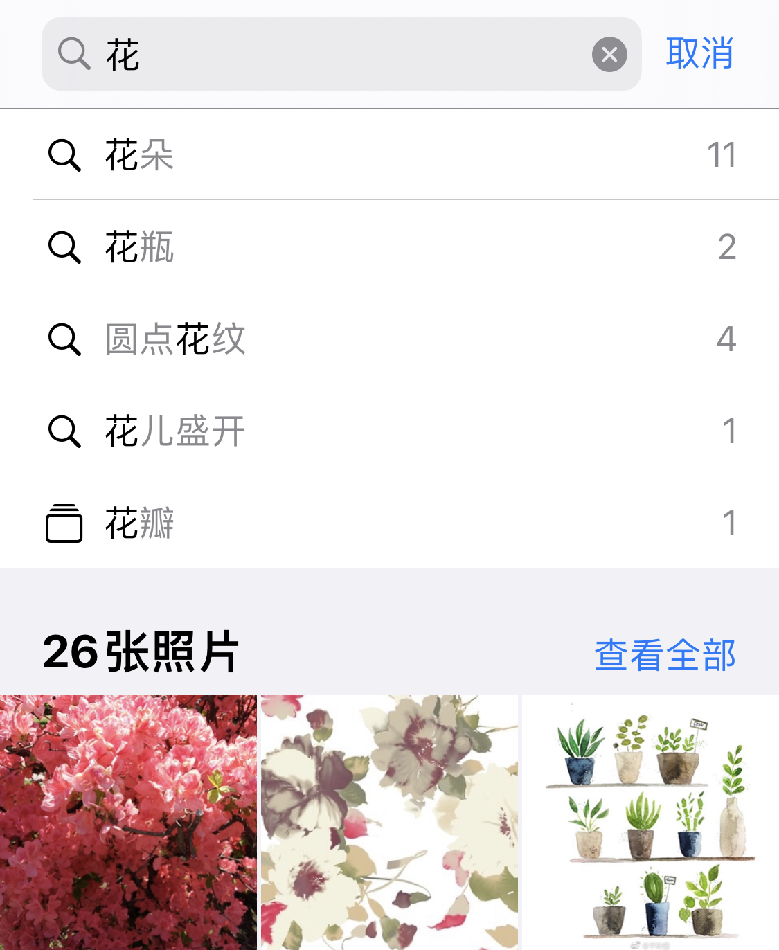 洮南苹果手机维修分享iPhone 小技巧 