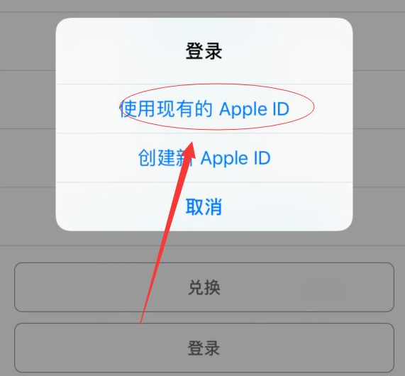 洮南苹果手机维修分享两台iPhone设备可以同时登录一个Apple ID吗 