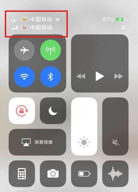 洮南苹果手机维修分享为 iPhone 12 双卡设置标签 