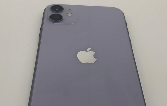 洮南苹果11系统维修分享iPhone11手机系统崩溃无法开机如何解决 