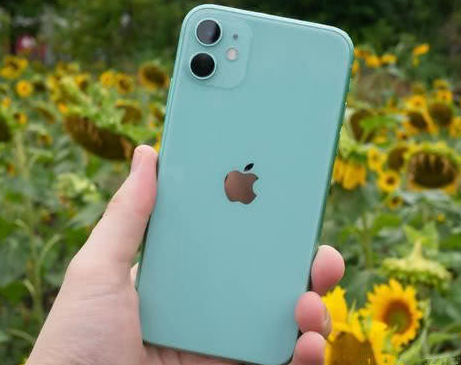 洮南苹果维修点分享iPhone 11锁屏密码认知与使用科普 